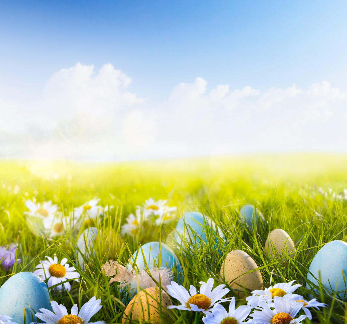 Colorful,Easter,Eggs,Decorated,With,Flowers,In,The,Grass,On