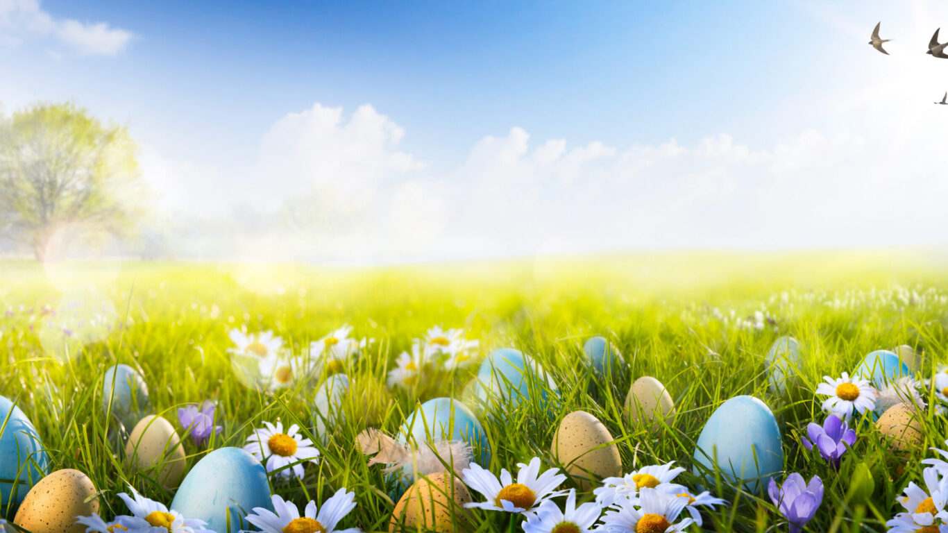 Colorful,Easter,Eggs,Decorated,With,Flowers,In,The,Grass,On