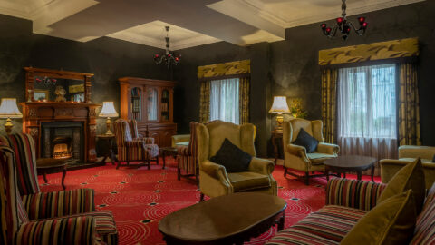 Library-without-Flowers