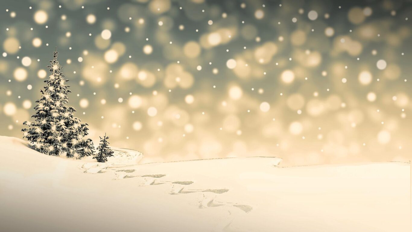 snow-trees